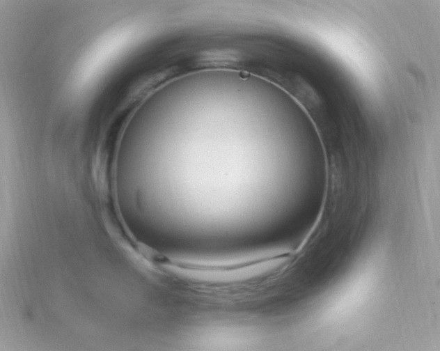 X0000115811054200911271112