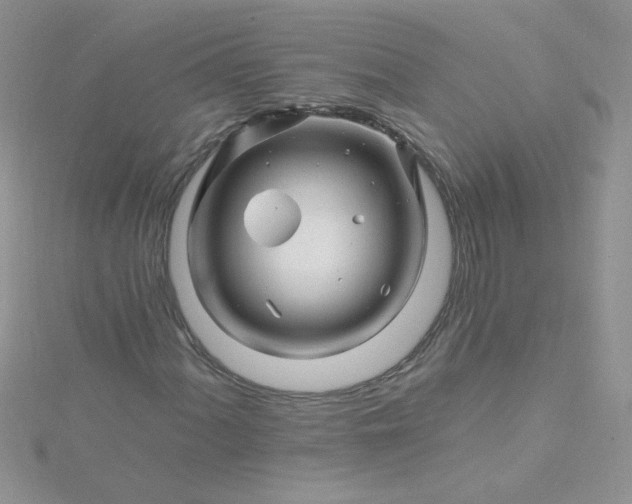 X0000115811060200911271111