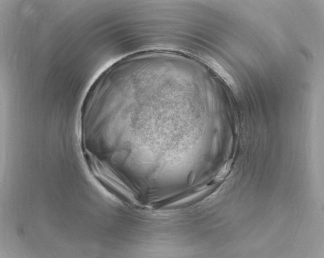 X0000115811084200911271111