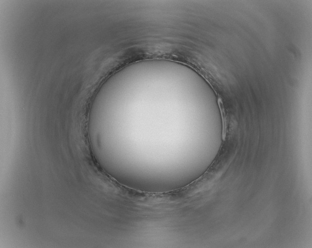 X0000115811153200911271110