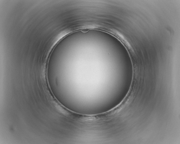 X0000115811186200911271110