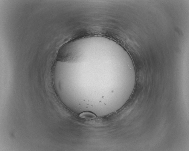 X0000115811201200911271109