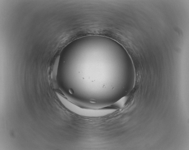 X0000115811202200911271109
