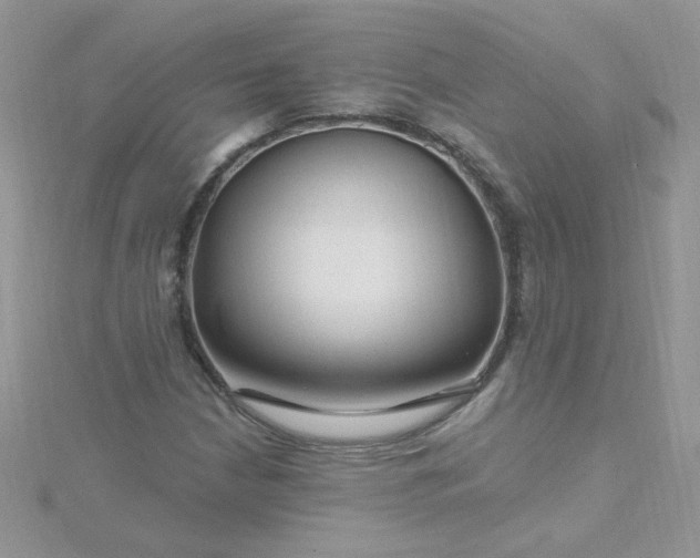 X0000115811210200911271109