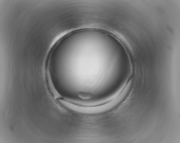 X0000115811230200911271109