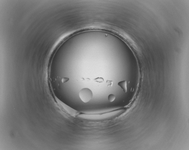 X0000115811232200911271109