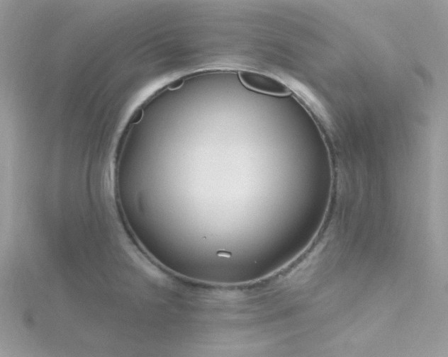 X0000115811238200911271109