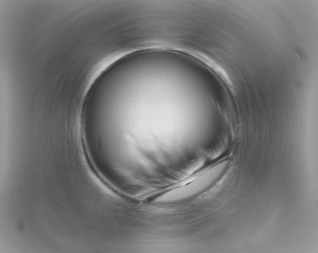 X0000115811239200911271109