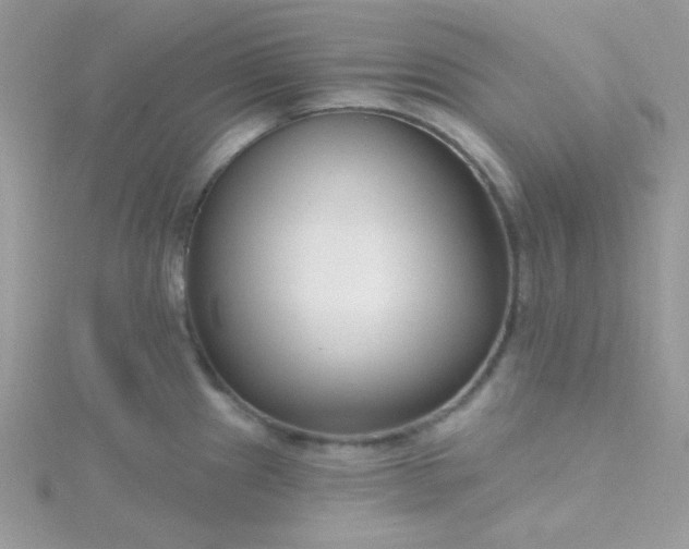 X0000115811241200911271109