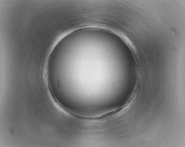 X0000115811247200911271109