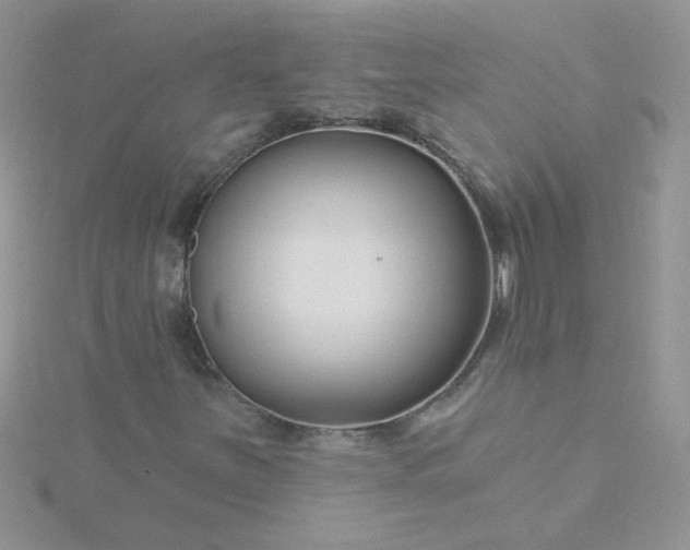 X0000115811251200911271109