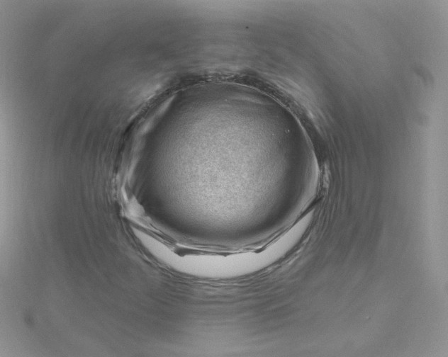 X0000115811252200911271109