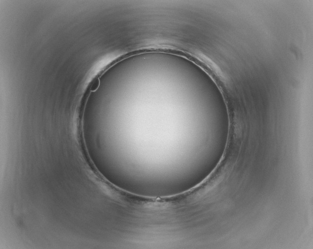 X0000115811277200911271108