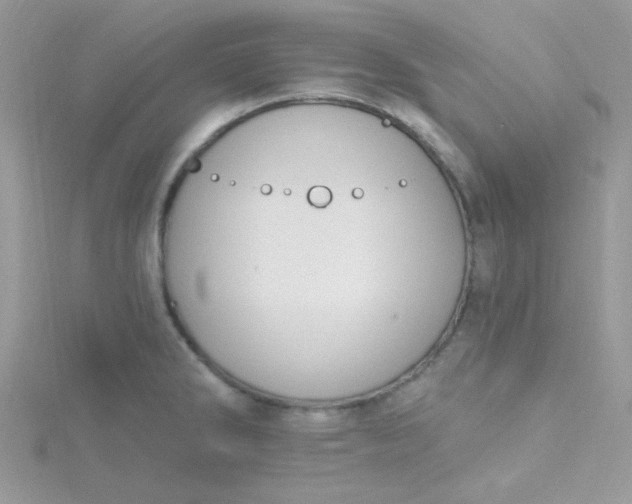 X0000115811286200911271108