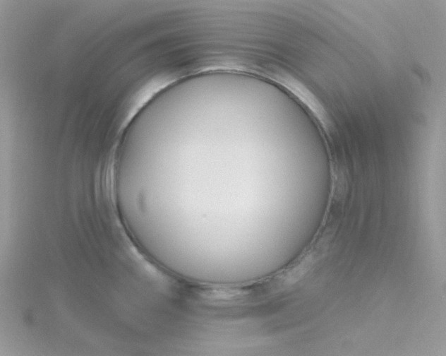 X0000115811290200911271108