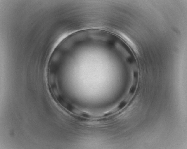X0000115811291200911271108