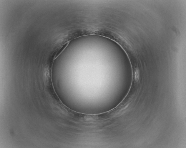 X0000115811299200911271107