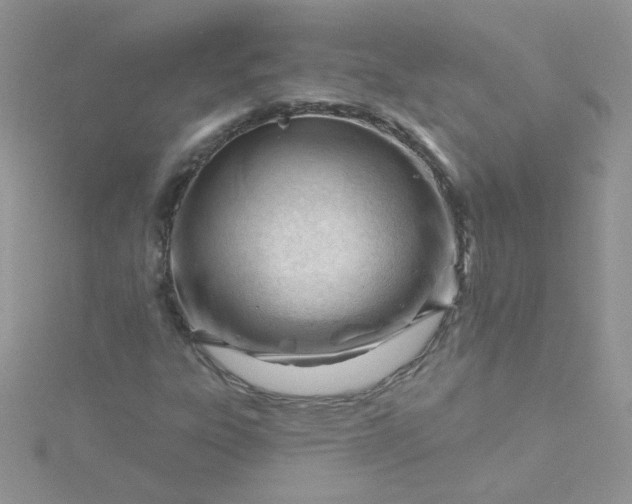 X0000115811303200911271107