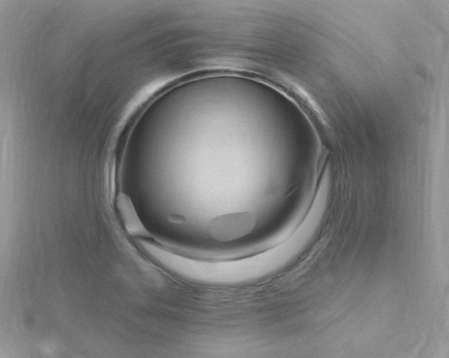 X0000115811323200911271108