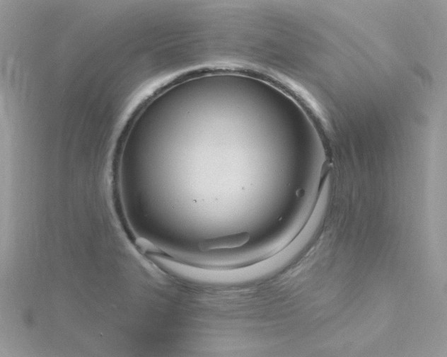 X0000115811327200911271108