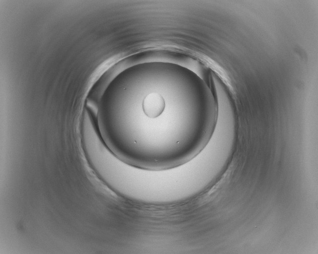 X0000115811330200911271108