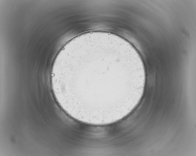 X0000115811338200911271108