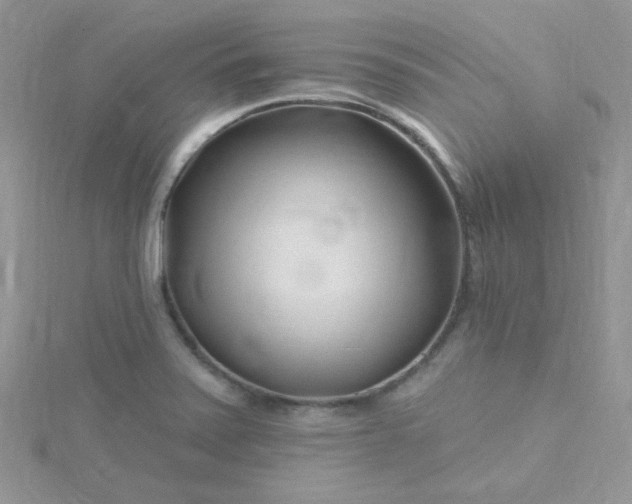 X0000115811371200911271107