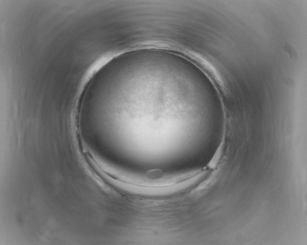 X0000115811373200911271107