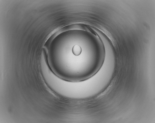 X0000115811377200911271107