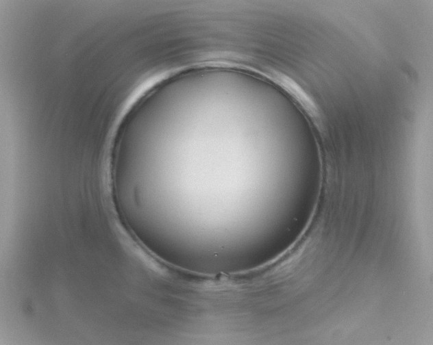 X0000115811384200911271107