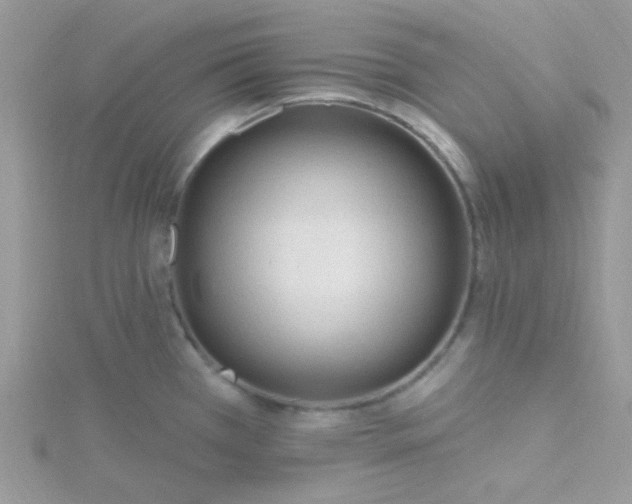 X0000115811385200911271107