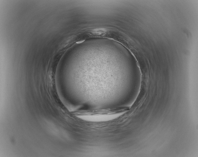 X0000115811394200911271106