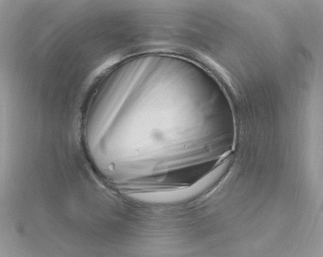X0000115811411200911271106
