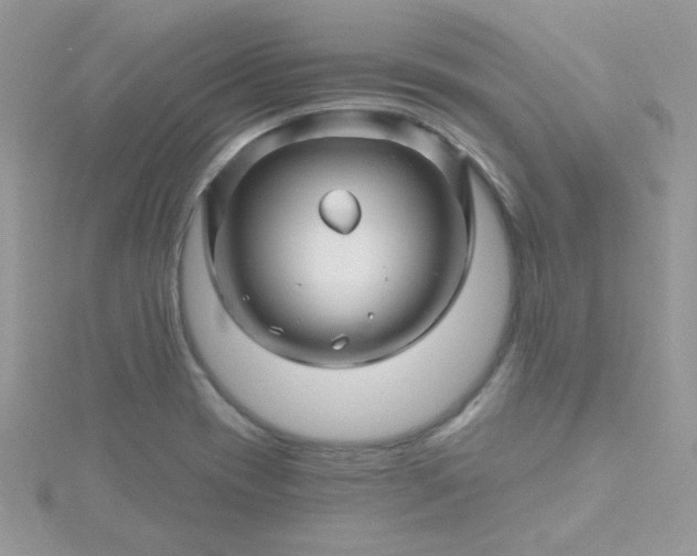 X0000115811417200911271106