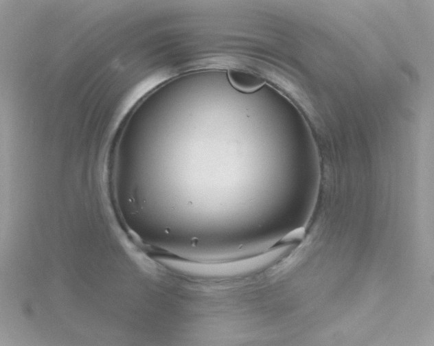 X0000115811426200911271106