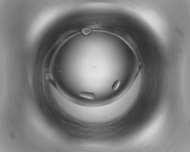 X0000115811438200911271107