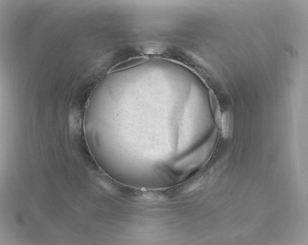 X0000115811443200911271106