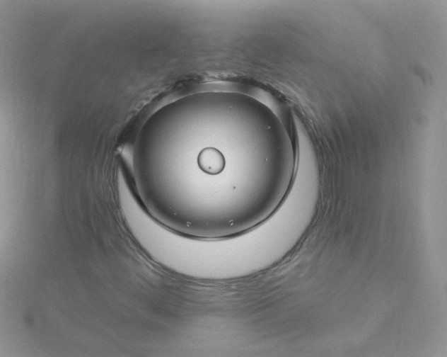 X0000115811444200911271106