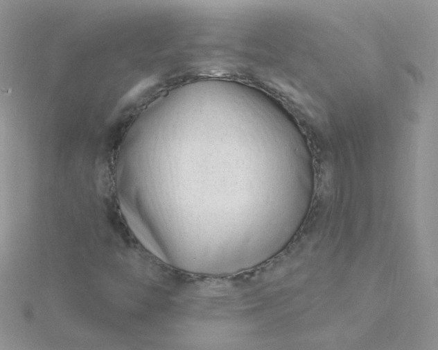 X0000115811446200911271106