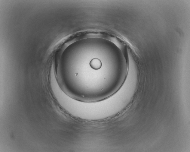 X0000115811448200911271106