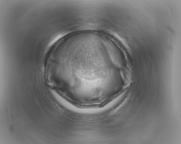 X0000115811453200911271106