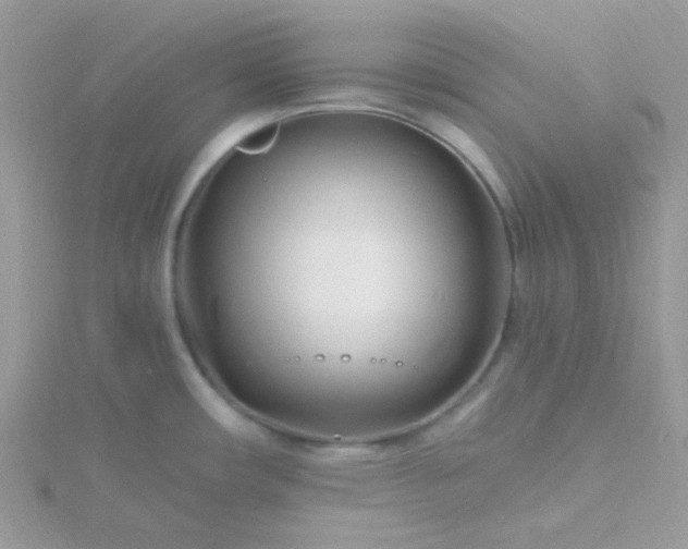 X0000115811482200911271105