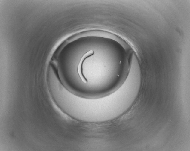 X0000115811527200911271105
