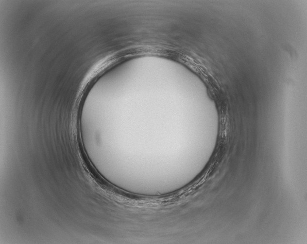 X0000115810004200912041616