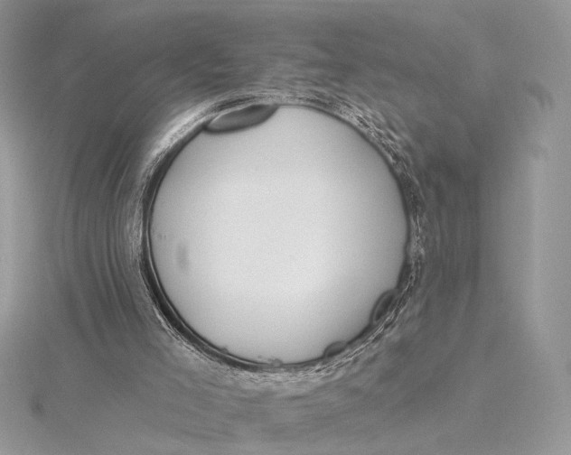 X0000115810005200912041616