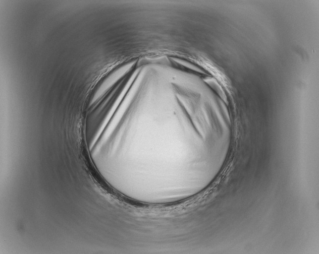 X0000115810009200912041616