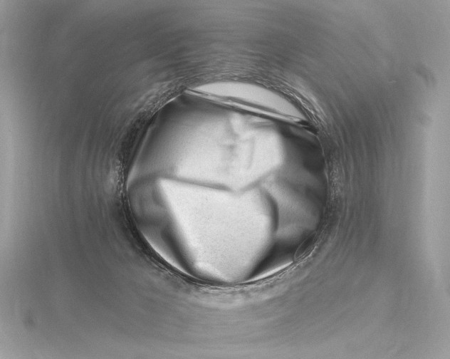X0000115810029200912041616
