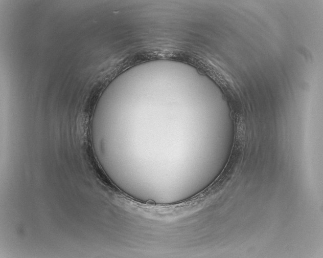 X0000115810030200912041616