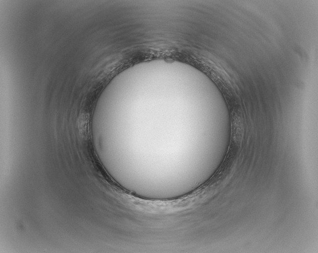 X0000115810034200912041616