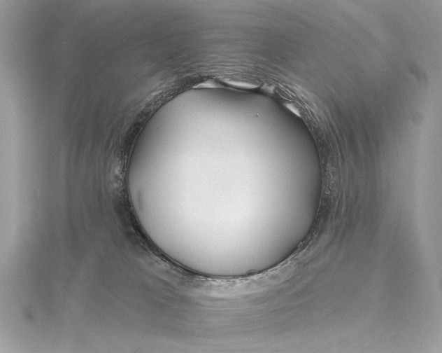X0000115810037200912041616